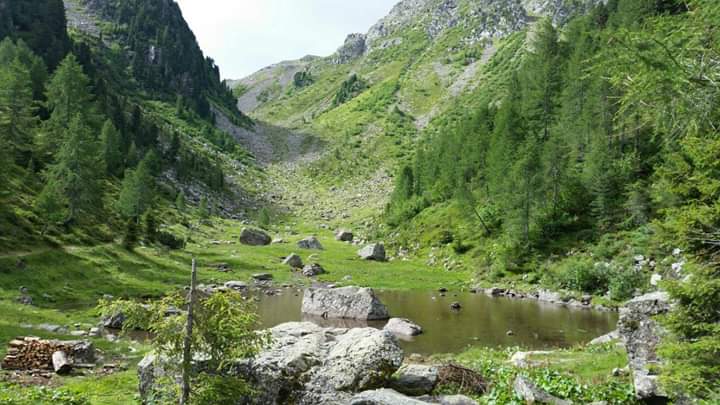 verso cima cece