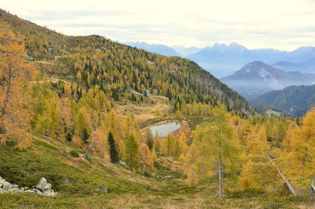 Laghetto di Sternozzena